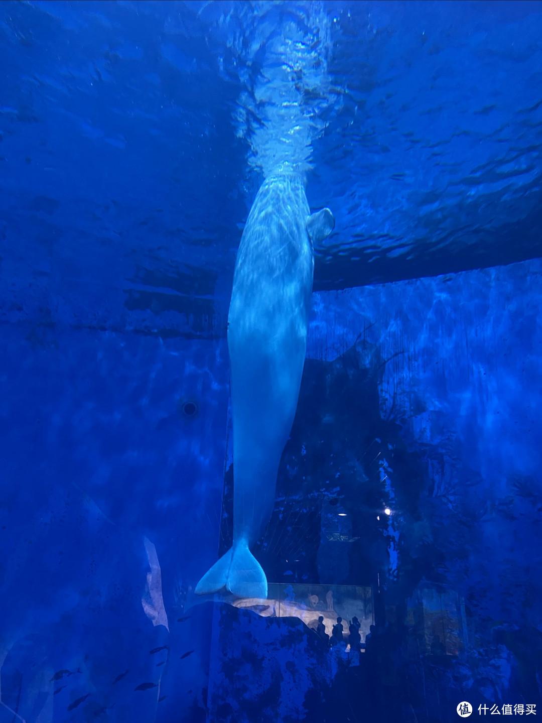 天津旅游攻略一日游略旅游团_天津旅游详细攻略_天津3天旅游攻略