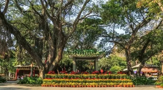 汕头金平好玩的地方_汕头金平区一日游_汕头金平旅游攻略