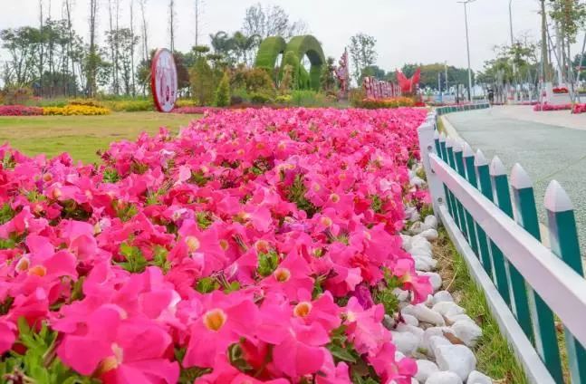 汕头金平区一日游_汕头金平旅游攻略_汕头金平好玩的地方