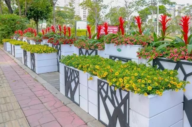 汕头金平区一日游_汕头金平好玩的地方_汕头金平旅游攻略