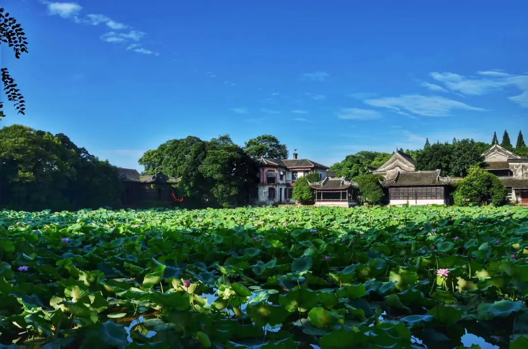 浙江南浔古镇门票_浙江南浔古镇旅游攻略_南浔古镇