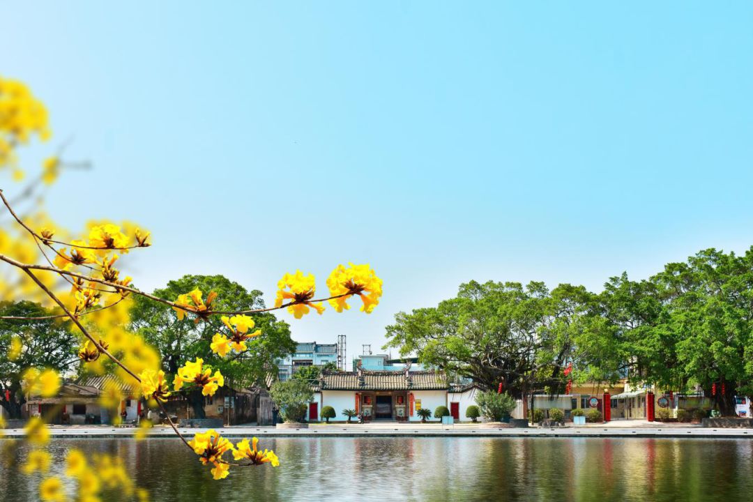 汕头金平区一日游_汕头金平旅游攻略_汕头金平哪里好玩