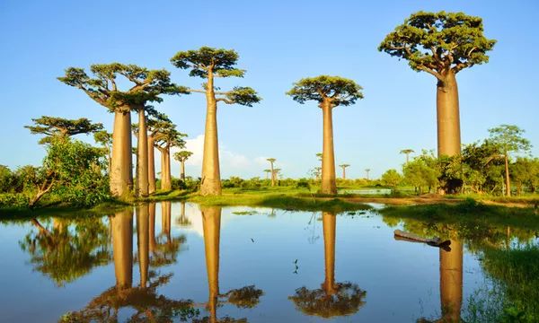 图瓦卢旅游攻略_攻略旅游图瓦卢怎么玩_图瓦卢旅游业