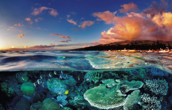 攻略旅游图瓦卢怎么玩_图瓦卢旅游业_图瓦卢旅游攻略