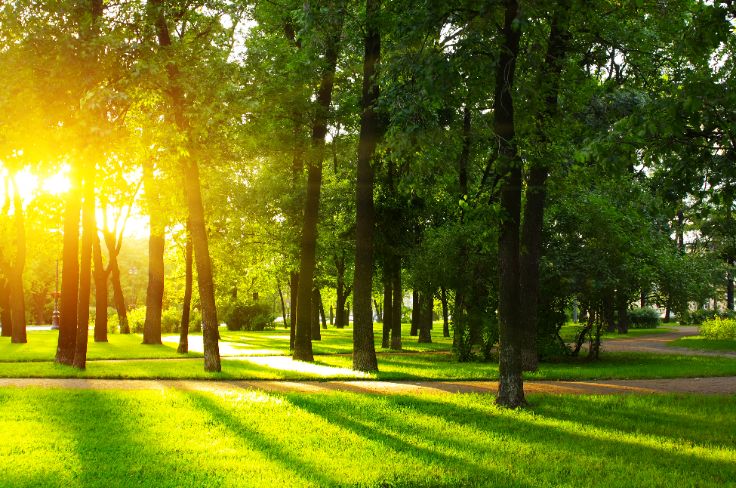 重庆金佛山旅游攻略-重庆金佛山的佛(图6) 重庆金佛山的佛_重庆金佛山山上酒店叫什么_重庆金佛山旅游攻略