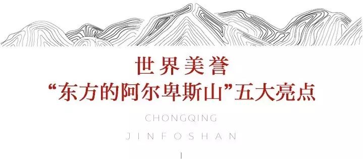 重庆金佛山的佛_重庆金佛山避暑游_重庆金佛山旅游攻略