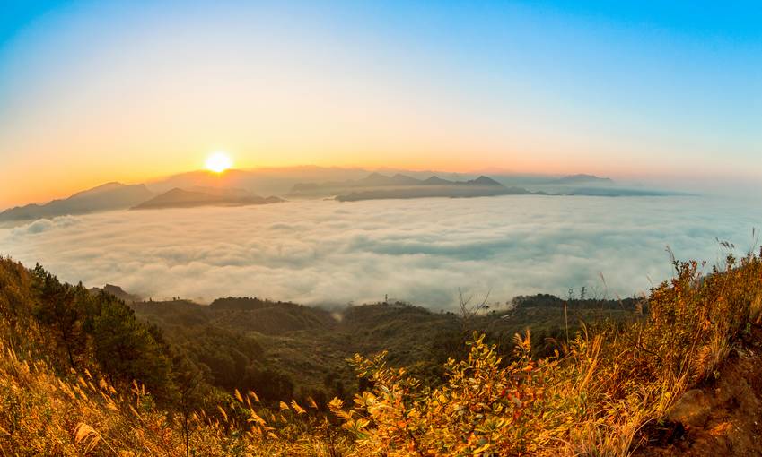重庆金佛山旅游攻略_重庆金佛山避暑游_重庆金佛山的佛