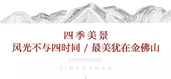 重庆金佛山的佛_重庆金佛山旅游攻略_重庆金佛山避暑游