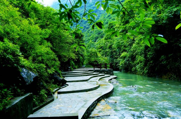 重庆金佛山的佛_重庆金佛山旅游攻略_重庆金佛山避暑游