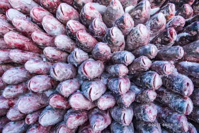 吉林旅游胜地_吉林旅游点_吉林市旅游攻略