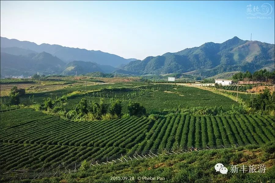 新丰樱花峪的门票_新丰樱花峪旅游攻略_新丰樱花峪好玩吗