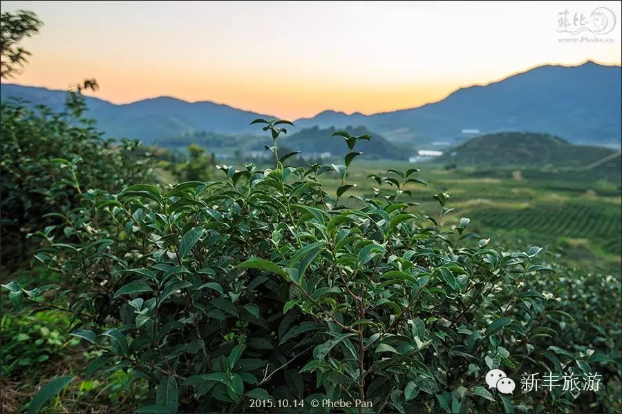 新丰樱花峪好玩吗_新丰樱花峪旅游攻略_新丰樱花峪的门票