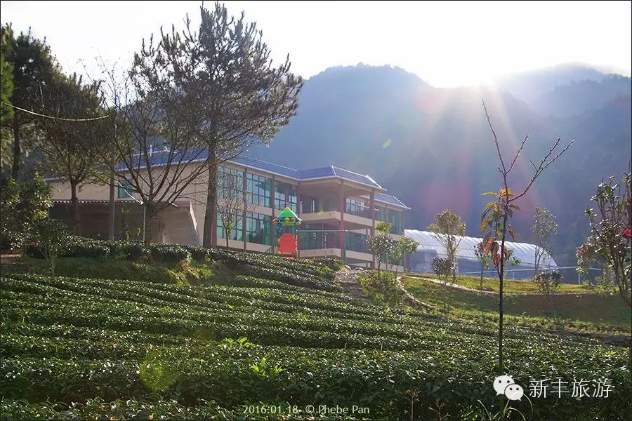 新丰樱花峪好玩吗_新丰樱花峪旅游攻略_新丰樱花峪的门票