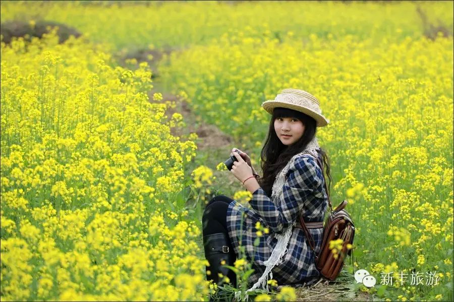 新丰樱花峪好玩吗_新丰樱花峪旅游攻略_新丰樱花峪的门票