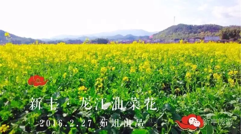 新丰樱花峪好玩吗_新丰樱花峪的门票_新丰樱花峪旅游攻略