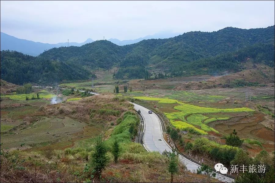 新丰樱花峪好玩吗_新丰樱花峪旅游攻略_新丰樱花峪的门票