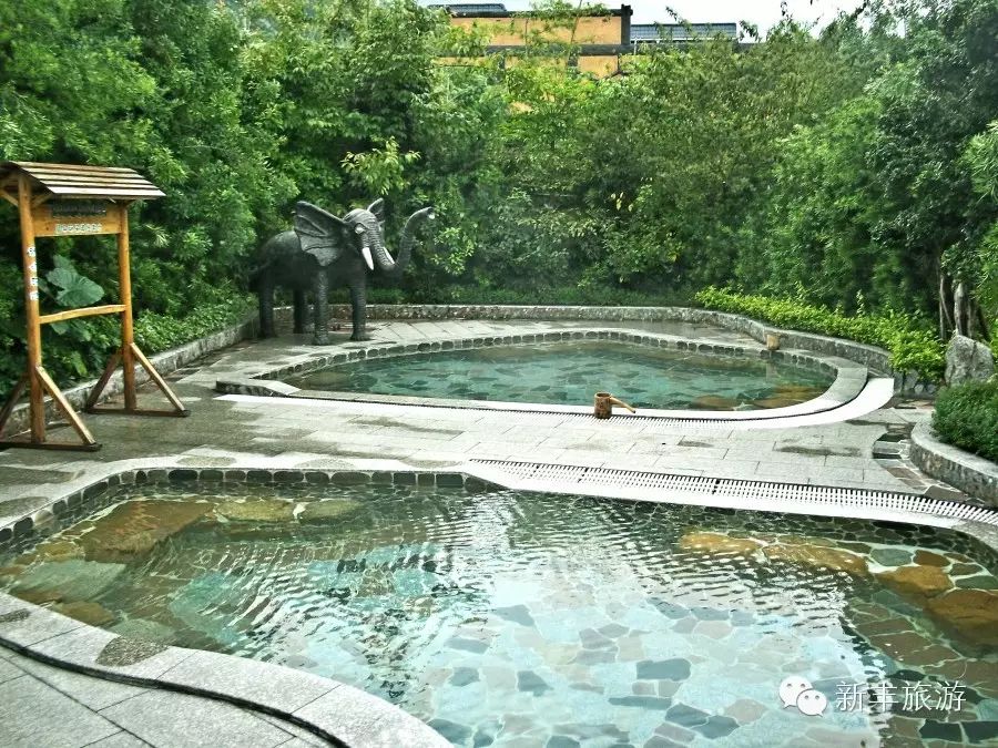 新丰樱花峪好玩吗_新丰樱花峪的门票_新丰樱花峪旅游攻略