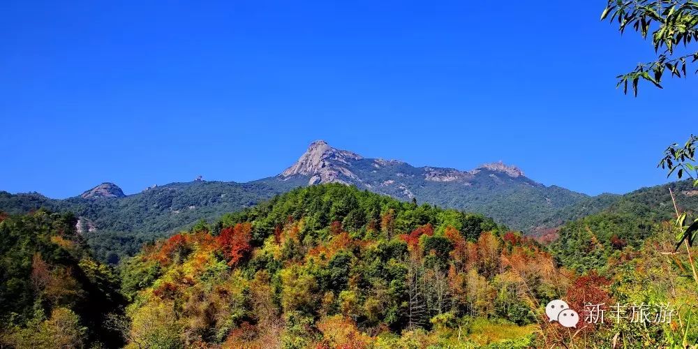 新丰樱花峪的门票_新丰樱花峪好玩吗_新丰樱花峪旅游攻略