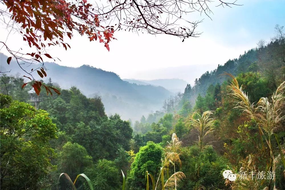 新丰樱花峪旅游攻略_新丰樱花峪好玩吗_新丰樱花峪的门票