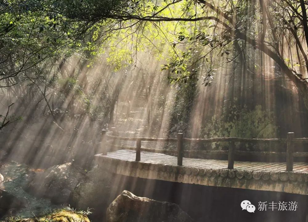 新丰樱花峪旅游攻略_新丰樱花峪好玩吗_新丰樱花峪的门票