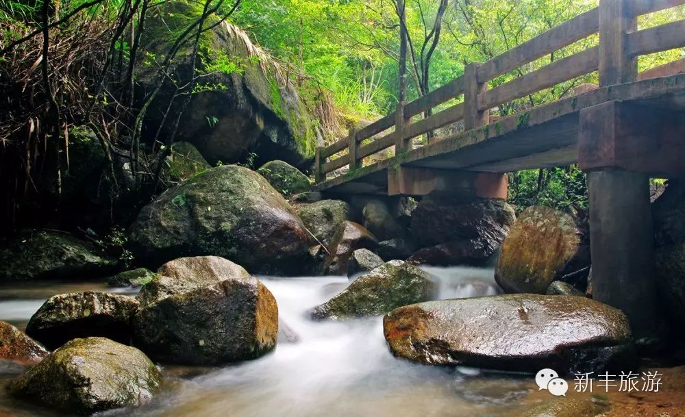 新丰樱花峪的门票_新丰樱花峪旅游攻略_新丰樱花峪好玩吗
