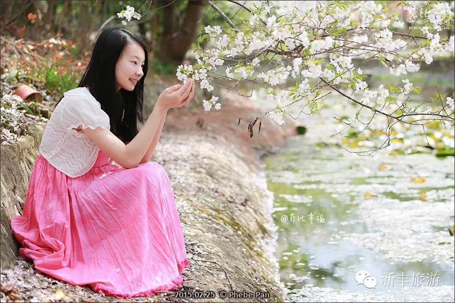 新丰樱花峪的门票_新丰樱花峪好玩吗_新丰樱花峪旅游攻略