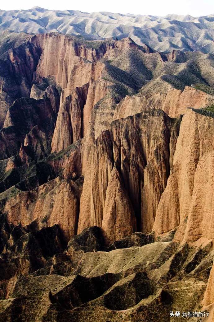 景泰黄河石林旅游攻略-景泰黄河石林景区门票(图10) 景泰黄河石林景区门票_景泰黄河石林旅游攻略_景泰黄河石林门票多少钱