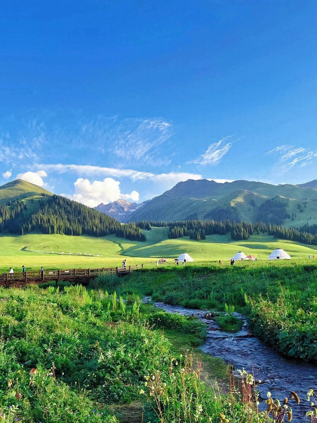 新疆 旅游攻略-旅游攻略新疆篇