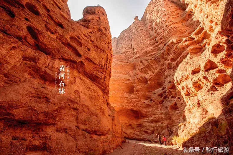 景泰黄河石林旅游门票价格_景泰黄河石林旅游攻略_景泰黄河石林自驾游攻略