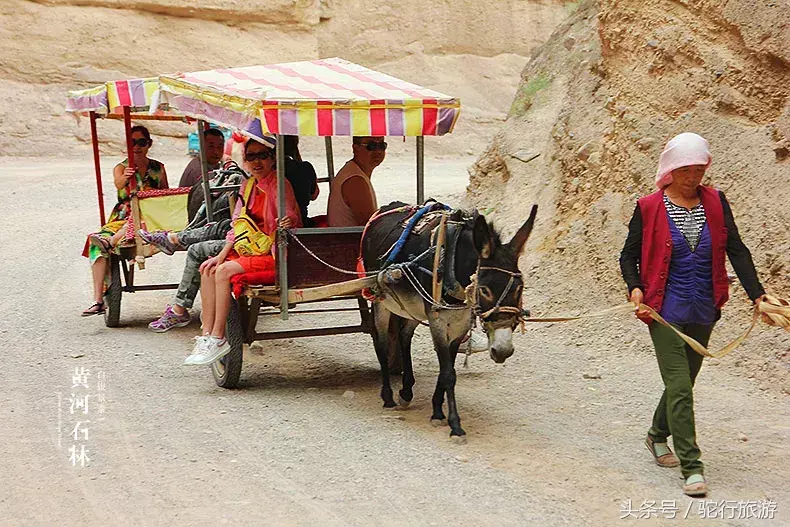 景泰黄河石林自驾游攻略_景泰黄河石林旅游攻略_景泰黄河石林旅游门票价格