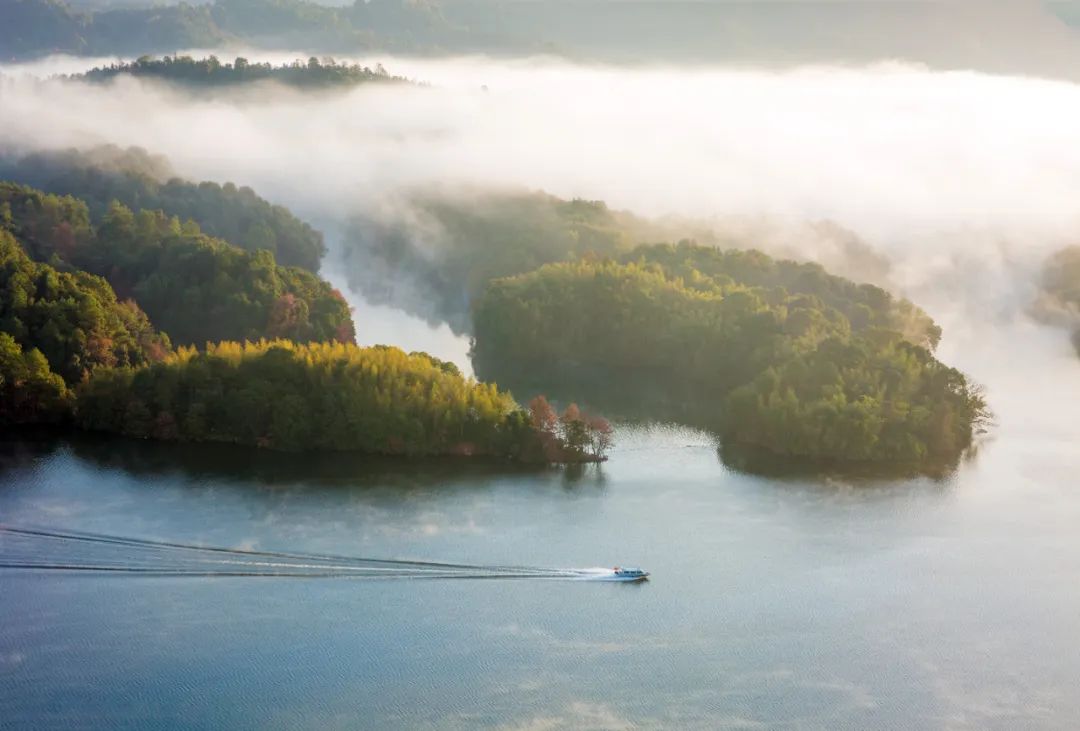 lm13700是什么芯片_新余仙女湖旅游攻略_鞠婧祎红色嫁衣