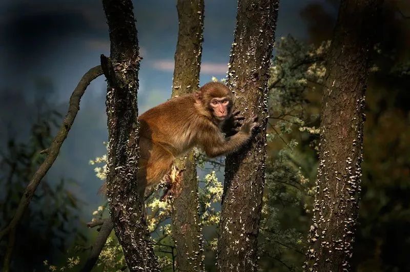 新余仙女湖旅游攻略_lm13700是什么芯片_鞠婧祎红色嫁衣