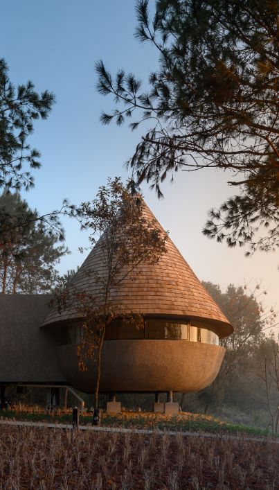 鞠婧祎红色嫁衣_lm13700是什么芯片_新余仙女湖旅游攻略