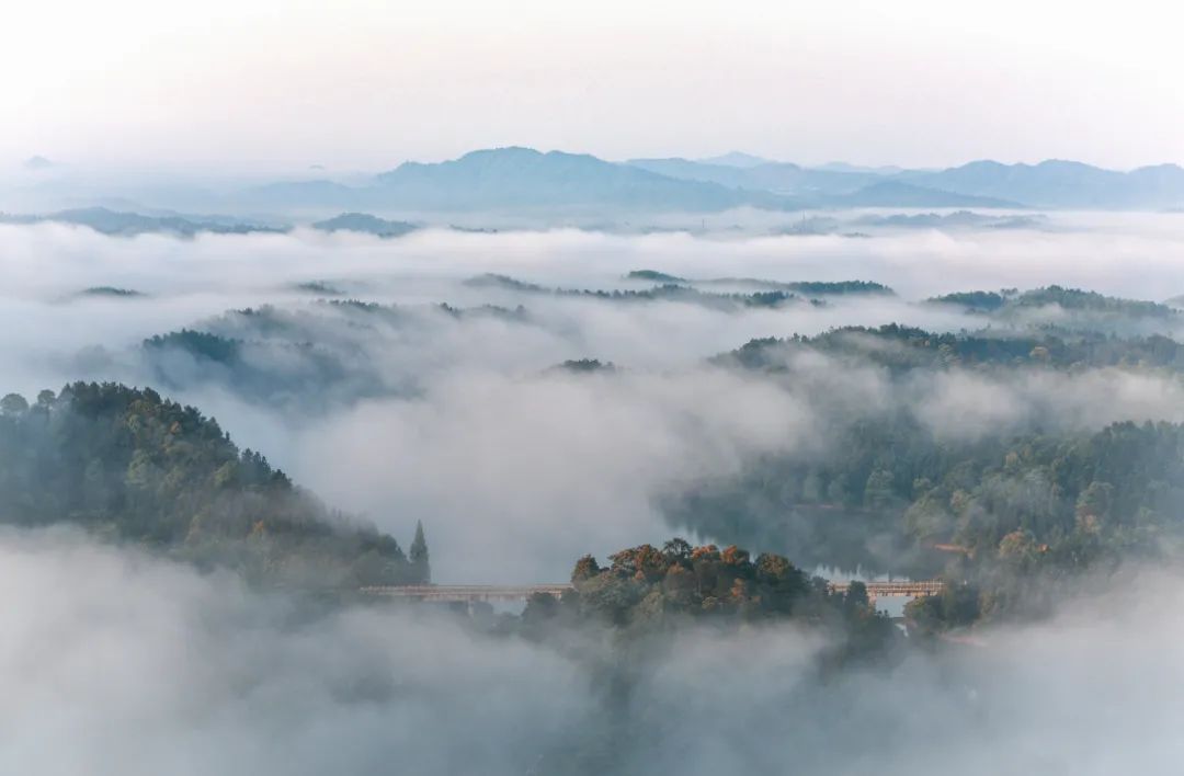 lm13700是什么芯片_鞠婧祎红色嫁衣_新余仙女湖旅游攻略