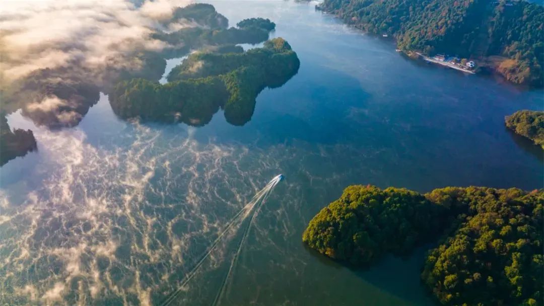 lm13700是什么芯片_鞠婧祎红色嫁衣_新余仙女湖旅游攻略