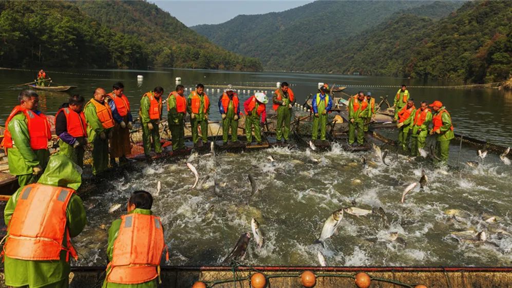 新余仙女湖旅游攻略_lm13700是什么芯片_鞠婧祎红色嫁衣