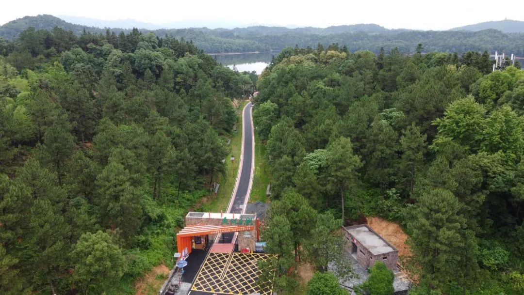 新余仙女湖旅游攻略_lm13700是什么芯片_鞠婧祎红色嫁衣