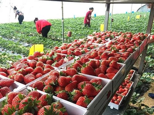 冬季攻略丹东旅游路线图_丹东冬季旅游攻略_冬季攻略丹东旅游路线