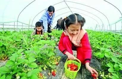 冬季攻略丹东旅游路线_丹东冬季旅游攻略_冬季攻略丹东旅游路线图