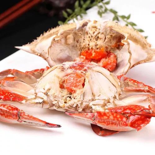 丹东冬季旅游攻略_冬季攻略丹东旅游路线_冬季攻略丹东旅游路线图