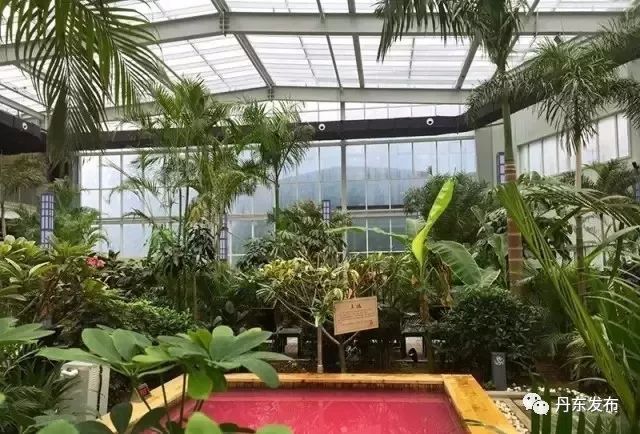 冬季攻略丹东旅游路线图_冬季攻略丹东旅游路线_丹东冬季旅游攻略