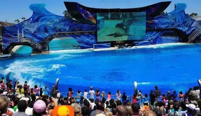 美国加州旅游 攻略_美国加州旅游景点推荐_加州攻略旅游美国免签吗