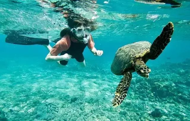 美国加州旅游景点推荐_美国加州旅游 攻略_加州攻略旅游美国免签吗