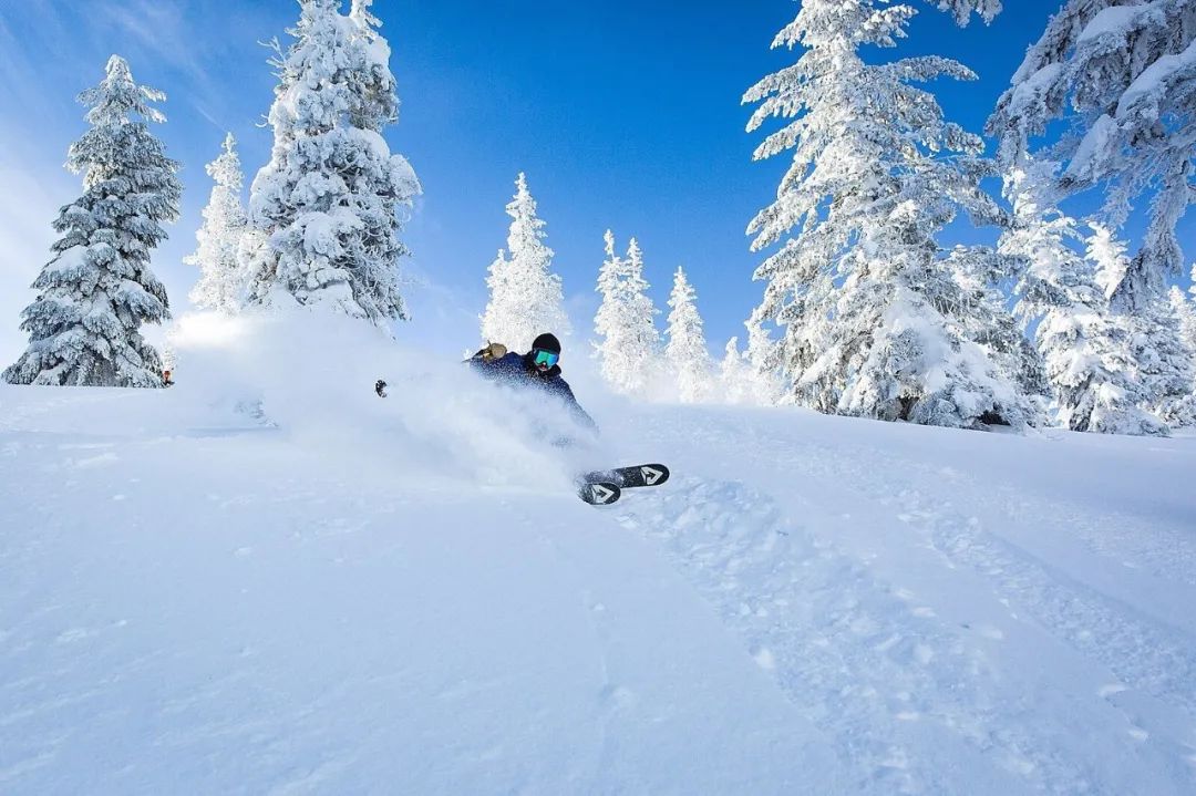 美国加州旅游 攻略-加州攻略旅游美国多少钱