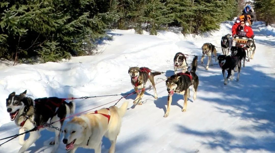 美国加州旅行_美国加州旅游 攻略_加州攻略旅游美国多少钱