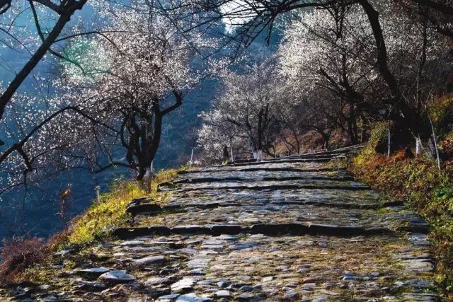 始兴深渡水生态旅游区门票_始兴深渡水火坑图片_始兴深渡水旅游攻略