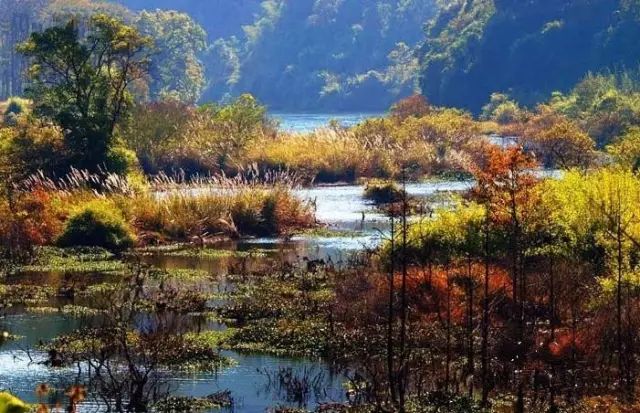 始兴深渡水旅游攻略_始兴深渡水火坑图片_始兴深渡水生态旅游区门票