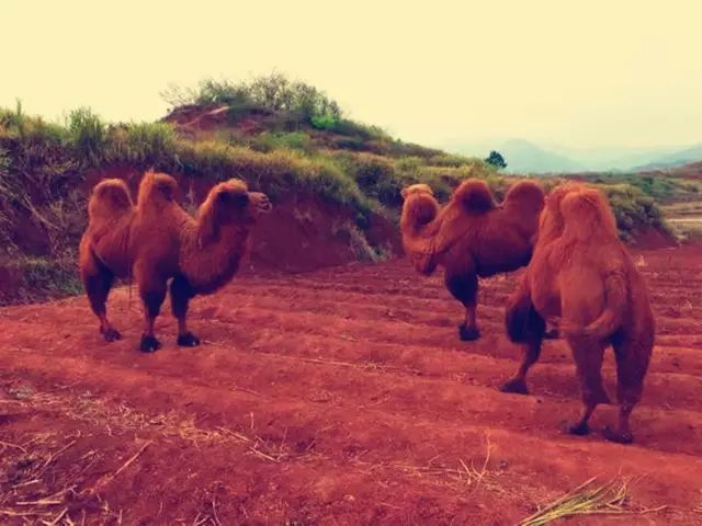 始兴深渡水旅游攻略_始兴深渡水火坑图片_始兴深渡水生态旅游区门票
