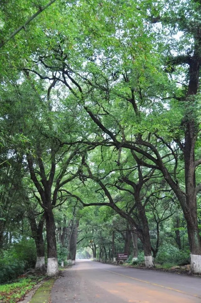 始兴深渡水生态旅游区门票_始兴深渡水旅游攻略_始兴深渡水火坑图片