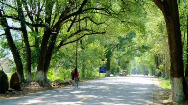 始兴深渡水旅游攻略_始兴深渡水生态旅游区门票_始兴深渡水火坑图片